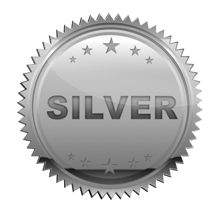 Silver package Social media marketing