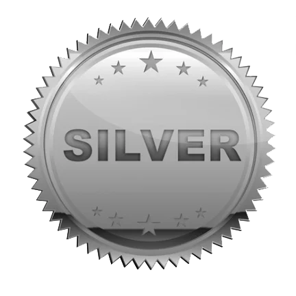 Silver package Social media marketing